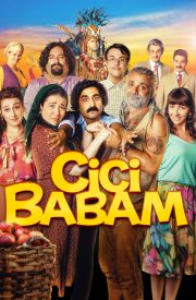 Cici Babam