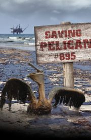 Saving Pelican 895
