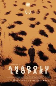Anadolu Leopari