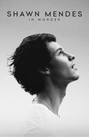 Shawn Mendes: In Wonder