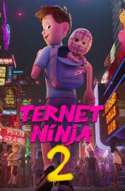 Ternet Ninja 2
