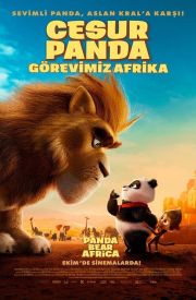 Panda Bear in Africa