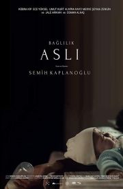 Baglilik Asli