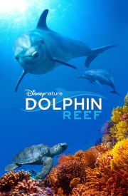 Dolphin Reef