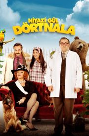 Niyazi Gül Dörtnala