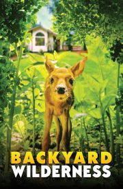 Backyard Wilderness