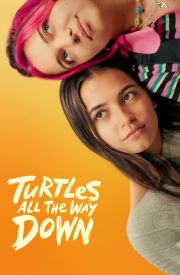 Turtles All the Way Down