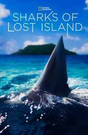 Sharks of Lost Island
