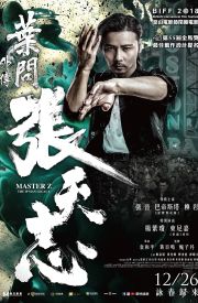 Ip Man: Cheung Tin Chi