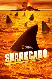 Sharkcano
