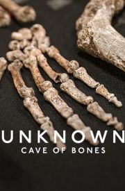 Unknown: Cave of Bones