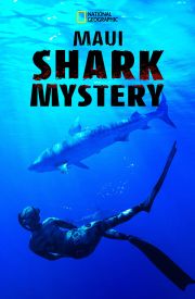Maui Shark Mystery
