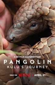 Pangolin: Kulu's Journey