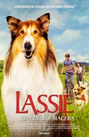 Lassie: A New Adventure