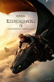 How to Train Your Dragon 2025