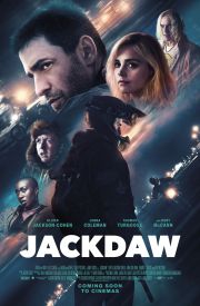 Jackdaw