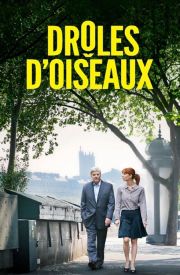 Drôles d'oiseaux