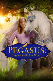 Pony with a Broken Wing