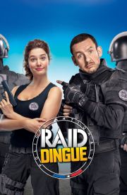 Raid dingue