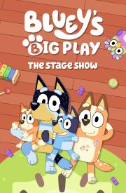 Bluey's Big Play