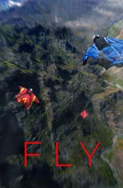 Fly