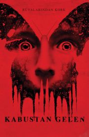 Before I Wake