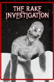 The Rake Investigation