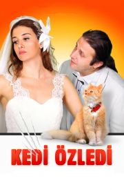 Kedi Özledi
