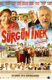 Sürgün İnek