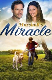 Marshall the Miracle Dog