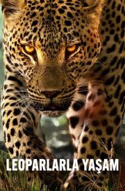 Living with Leopards