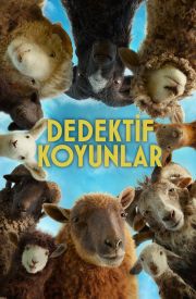 The Sheep Detectives