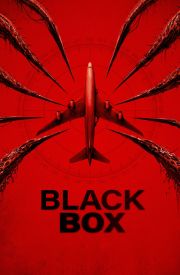 Black Box (Flight 298)