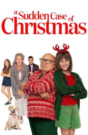 A Sudden Case of Christmas