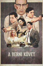 A berni követ