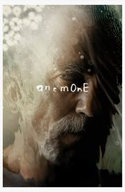 Anemone
