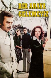 Bir Araya Gelemeyiz