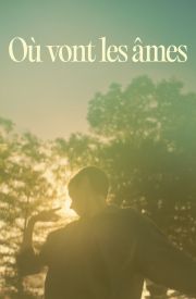 Where Souls Go