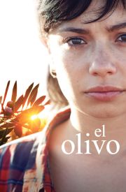 El olivo