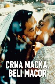 Crna macka, beli macor