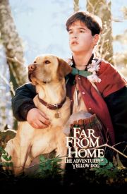 Far from Home: The Adventures of Yellow Dog