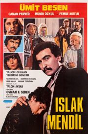 Islak Mendil