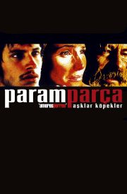 Amores perros