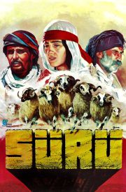 Sürü