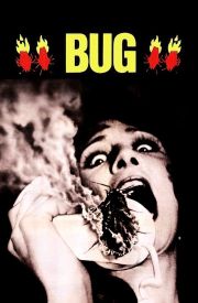Bug
