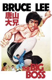Tang shan da xiong