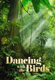 Dancing with the Birds