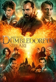 Fantastic Beasts 3