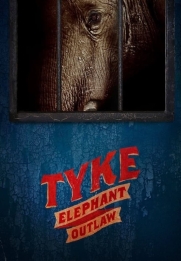 Tyke Elephant Outlaw