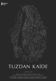 Tuzdan Kaide
